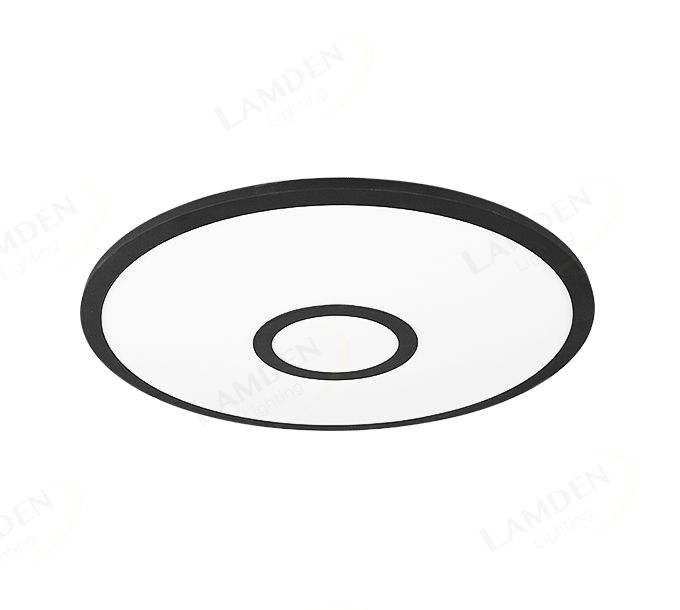 Φ450 RGB Center Decoration Ceiling Light70042