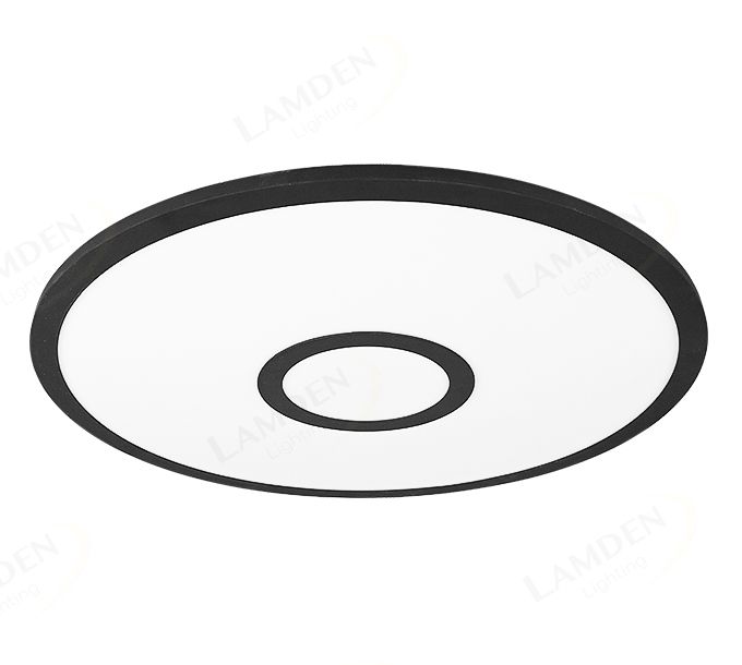 Φ600 RGB Center Decoration Ceiling Light70043