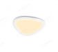 308x382 Single Head Big Stone Decoration Ceiling Lights70015