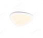 308x382 Single Head Big Stone Decoration Ceiling Lights70015