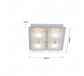 340x260mm LED Integrated LED Wall Lamp Ceiling light with Four Head 70072