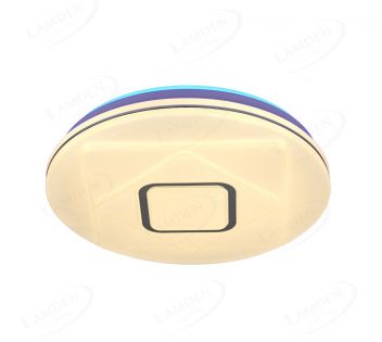 Dia.380mm IP20 Indoor Decoration Ceiling Lamp LED Light 40002