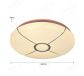 Dia.380mm IP20 Indoor Decoration Ceiling Lamp LED Light 40005