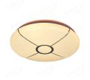 Dia.380mm IP20 Indoor Decoration Ceiling Lamp LED Light 40005