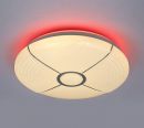 Dia.380mm IP20 Indoor Decoration Ceiling Lamp LED Light 40005