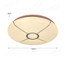 Dia.380mm IP20 Indoor Decoration Ceiling Lamp LED Light 40005