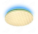 Mesh Weaving Style Housing LED Ceiling Lamp 380mm Diameter 40006