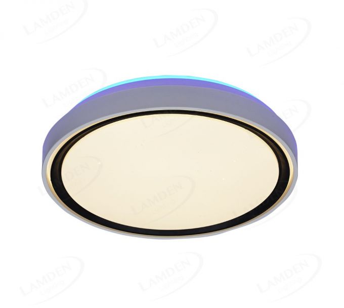 White Plastic Housing Cover with Black Line Decoration Indoor Ceiling LED Lights 40007