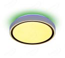 White Plastic Housing Cover with Black Line Decoration Indoor Ceiling LED Lights 40007