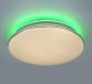 Circular Arc Surface Housing  CCT+RGB Backlight Effect Low Voltage LED Driver Ceiling Lamps 40011