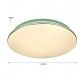 Circular Arc Surface Housing  CCT+RGB Backlight Effect Low Voltage LED Driver Ceiling Lamps 40011