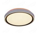 Plastic Housing 3 Step Dim Functional LED Ceiling Lamp 40021