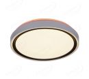 Plastic Housing 3 Step Dim Functional LED Ceiling Lamp 40021