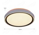 Plastic Housing 3 Step Dim Functional LED Ceiling Lamp 40021