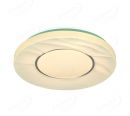 Wave Line Design CCT 2700-5000K LED Indoor Ceiling Lamps 40022