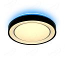 Black Color Round Shape Frame LED Ceiling Lights 40025