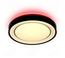 Black Color Round Shape Frame LED Ceiling Lights 40025