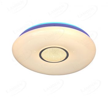 Round Shape with Middle Shining Effect LED CCT with 2.4G Remote Control LED Lights 40026