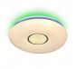 Round Shape with Middle Shining Effect LED CCT with 2.4G Remote Control LED Lights 40026