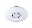 Round Shape with Middle Shining Effect LED CCT with 2.4G Remote Control LED Lights 40026