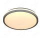 Smart WiFi Control Decoration Living Room LED Ceiling Lamp 40028