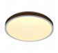 Smart LED Control Functional LED Ceiling Lamps 40031