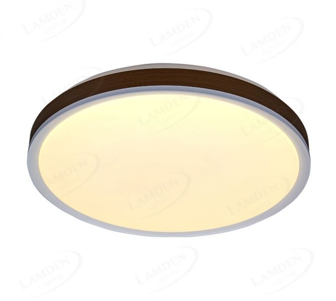 Smart LED Control Functional LED Ceiling Lamps 40031