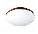 Smart LED Control Functional LED Ceiling Lamps 40031