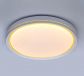 White Cover with Golden Line Design Housing LED Indoor Ceiling Lamps 40033