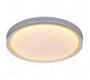 White Cover with Golden Line Design Housing LED Indoor Ceiling Lamps 40033