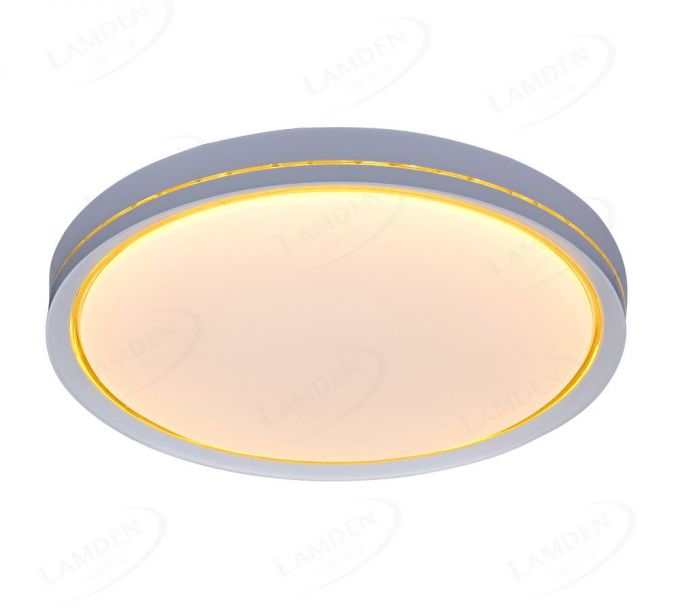 White Cover with Golden Line Design Housing LED Indoor Ceiling Lamps 40033