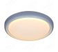 IP20 Indoor Lighting Functional LED Ceiling Lights 40034