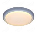 IP20 Indoor Lighting Functional LED Ceiling Lights 40034