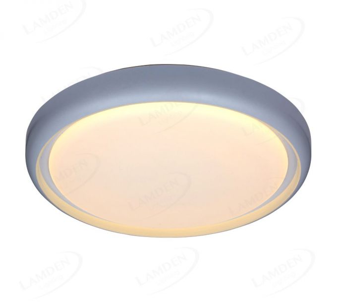 IP20 Indoor Lighting Functional LED Ceiling Lights 40034