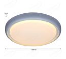 IP20 Indoor Lighting Functional LED Ceiling Lights 40034