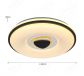 Plastic Housing with Triangle Middle Design 480mm Diameter LED Ceiling Lamp 40036