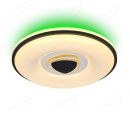 Plastic Housing with Triangle Middle Design 480mm Diameter LED Ceiling Lamp 40036