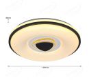 Plastic Housing with Triangle Middle Design 480mm Diameter LED Ceiling Lamp 40036