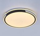 Smart LED Control Functional LED Ceiling Lamps 40042