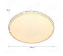 Crystal Edge Shining Big Size Diameter 490mm LED Ceiling Lights 40048