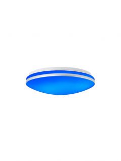 Sliver Line Dia.330mm Wall Switch Memory Function LED Ceiling Light 40062