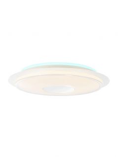 Warm White Cold White Color Changing IP20 Low Voltage LED Ceiling Light 40074