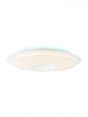 Warm White Cold White Color Changing IP20 Low Voltage LED Ceiling Light 40074