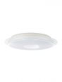 Warm White Cold White Color Changing IP20 Low Voltage LED Ceiling Light 40074