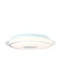 Diameter 450mm Indoor IP20 Decoration LED Ceiling Panel Light 40075