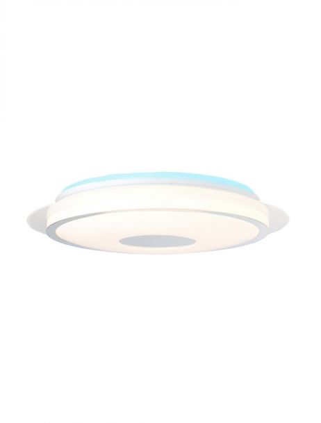 Diameter 450mm Indoor IP20 Decoration LED Ceiling Panel Light 40075