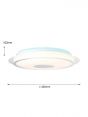 Diameter 450mm Indoor IP20 Decoration LED Ceiling Panel Light 40075