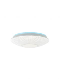 Diameter 500mm Smart LED Control Functional LED Ceiling Panel Lamps 40077