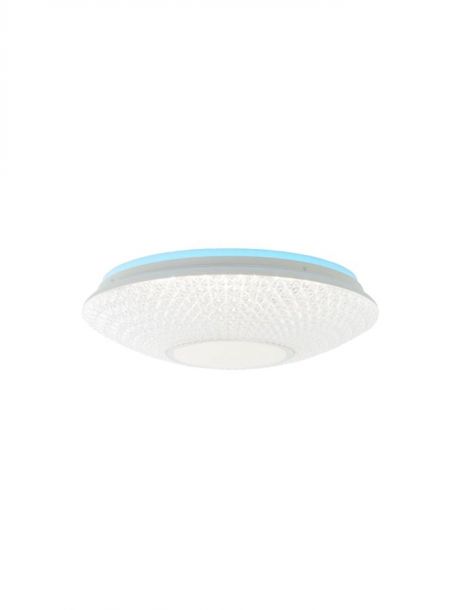 Diameter 500mm Smart LED Control Functional LED Ceiling Panel Lamps 40077