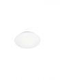 Oval Shape White Color Plastic Housing Color Changing LED Ceiling Light 40089